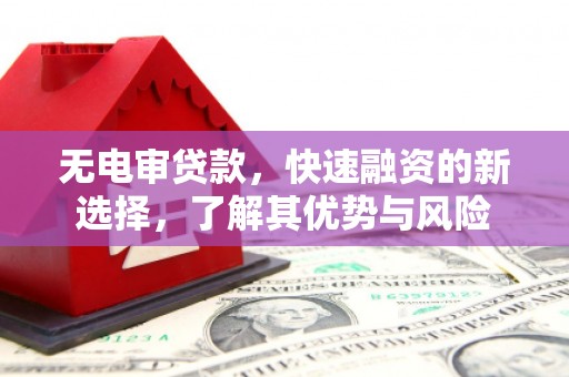 长武无电审贷款，快速融资的新选择，了解其优势与风险