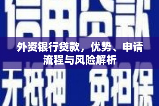 长武外资银行贷款，优势、申请流程与风险解析