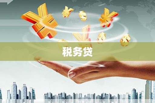 长武税务贷