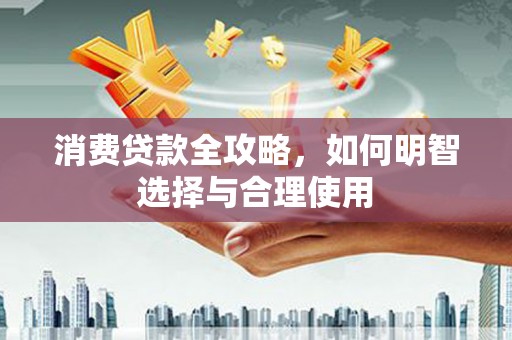 长武消费贷款全攻略，如何明智选择与合理使用