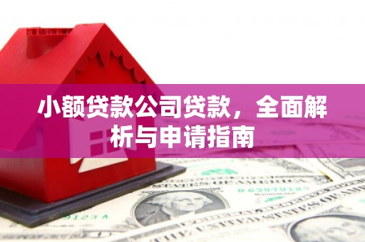 长武小额贷款公司贷款，全面解析与申请指南