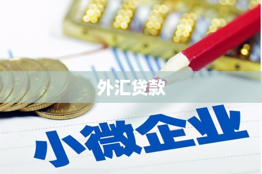 长武外汇贷款