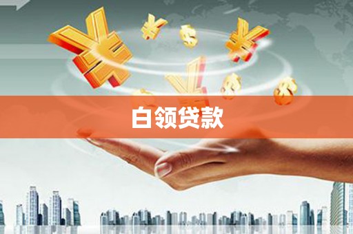 长武白领贷款