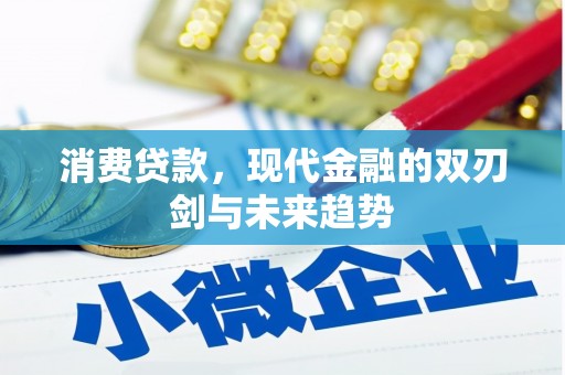 长武消费贷款，现代金融的双刃剑与未来趋势