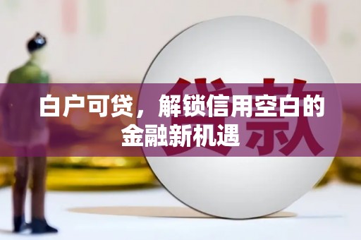 长武白户可贷，解锁信用空白的金融新机遇