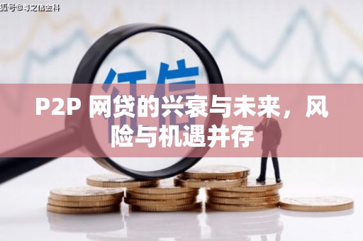 长武P2P 网贷的兴衰与未来，风险与机遇并存