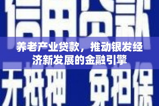 长武养老产业贷款，推动银发经济新发展的金融引擎