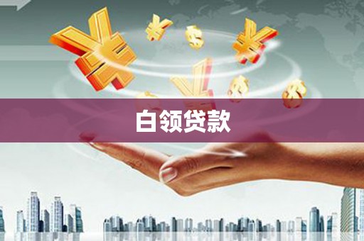 长武白领贷款