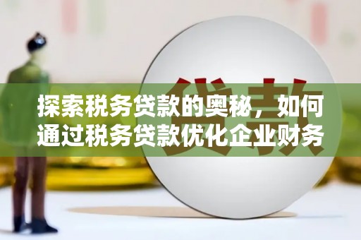 长武探索税务贷款的奥秘，如何通过税务贷款优化企业财务