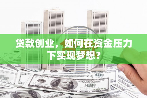 长武贷款创业，如何在资金压力下实现梦想？