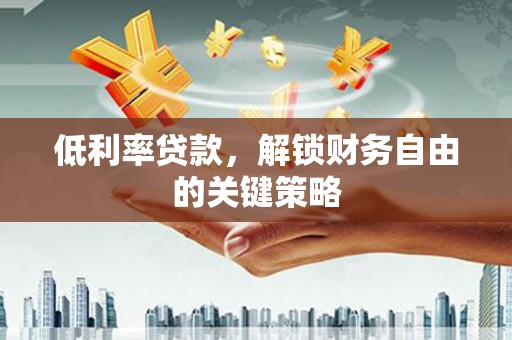 长武低利率贷款，解锁财务自由的关键策略