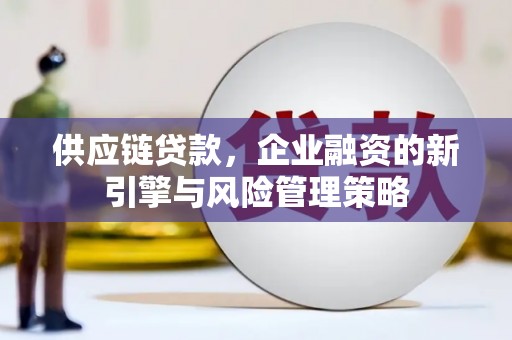长武供应链贷款，企业融资的新引擎与风险管理策略