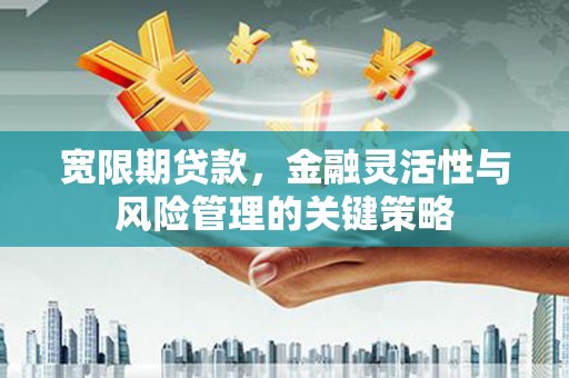 长武宽限期贷款，金融灵活性与风险管理的关键策略