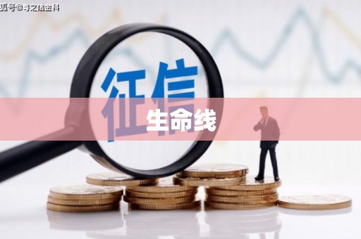 长武生命线