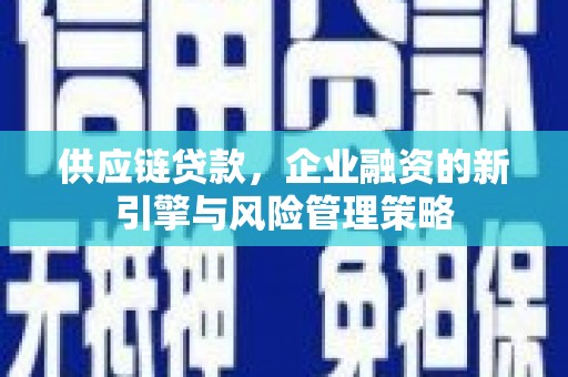 长武供应链贷款，企业融资的新引擎与风险管理策略