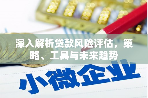 长武深入解析贷款风险评估，策略、工具与未来趋势
