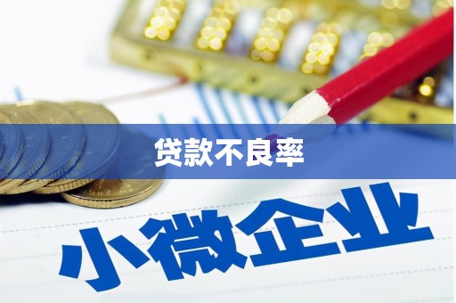 长武贷款不良率