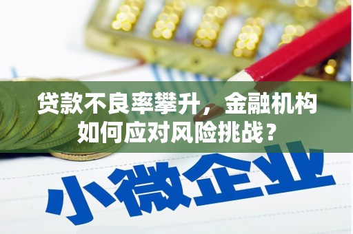 长武贷款不良率攀升，金融机构如何应对风险挑战？