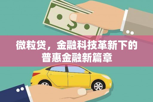长武微粒贷，金融科技革新下的普惠金融新篇章