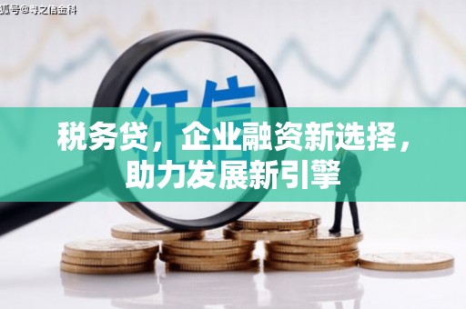 长武税务贷，企业融资新选择，助力发展新引擎