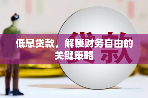 长武低息贷款，解锁财务自由的关键策略