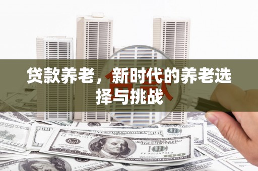 长武贷款养老，新时代的养老选择与挑战