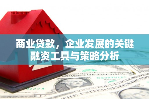 长武商业贷款，企业发展的关键融资工具与策略分析