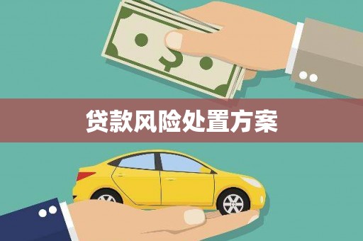 长武贷款风险处置方案