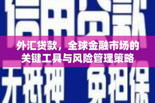 长武外汇贷款，全球金融市场的关键工具与风险管理策略