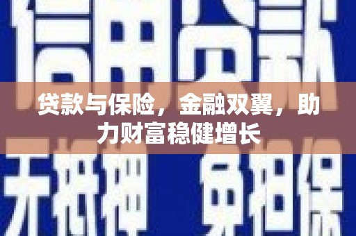 长武贷款与保险，金融双翼，助力财富稳健增长