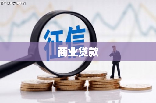 长武商业贷款