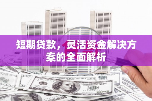 长武短期贷款，灵活资金解决方案的全面解析