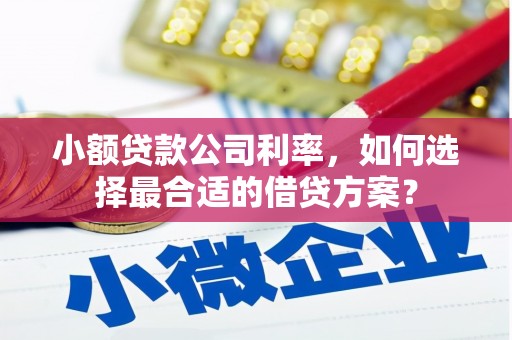长武小额贷款公司利率，如何选择最合适的借贷方案？