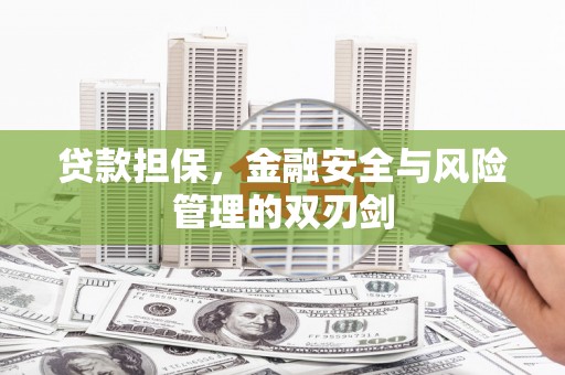 长武贷款担保，金融安全与风险管理的双刃剑