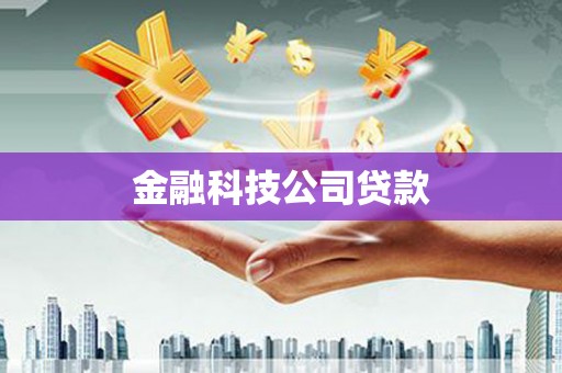长武金融科技公司贷款