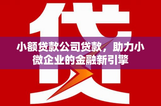 长武小额贷款公司贷款，助力小微企业的金融新引擎