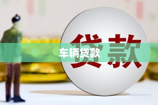 长武车辆贷款