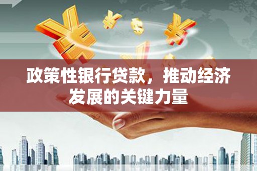 长武政策性银行贷款，推动经济发展的关键力量