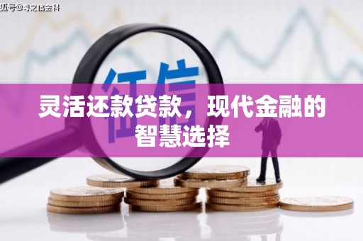 长武灵活还款贷款，现代金融的智慧选择