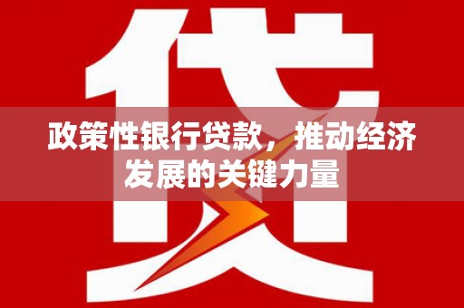长武政策性银行贷款，推动经济发展的关键力量