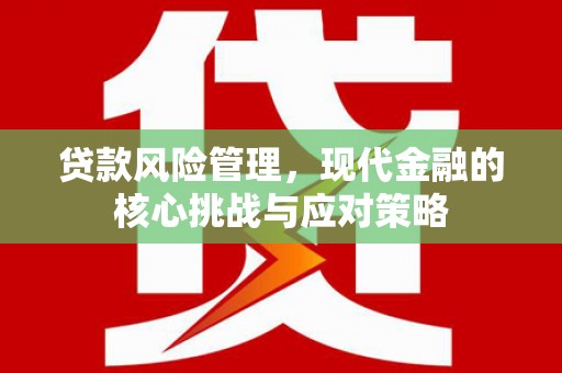 长武贷款风险管理，现代金融的核心挑战与应对策略
