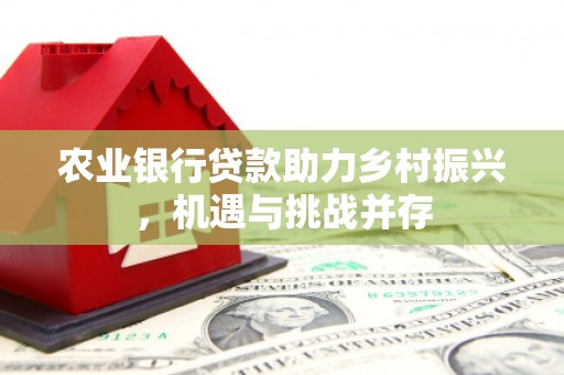 长武农业银行贷款助力乡村振兴，机遇与挑战并存