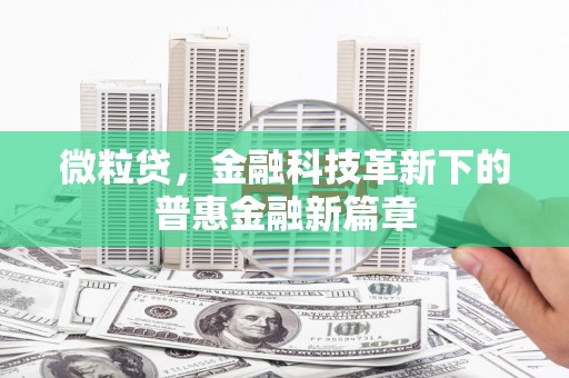 长武微粒贷，金融科技革新下的普惠金融新篇章