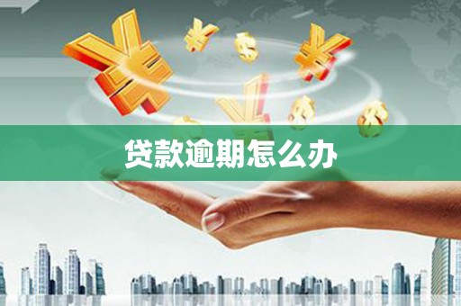 长武贷款逾期怎么办