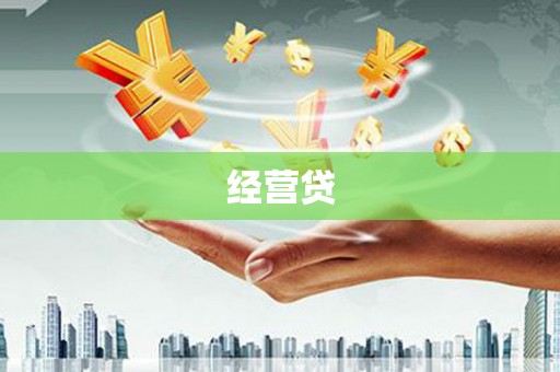 长武经营贷