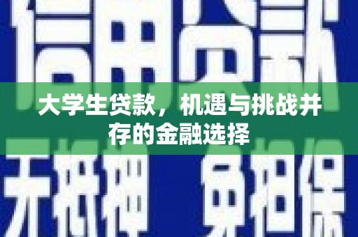 长武大学生贷款，机遇与挑战并存的金融选择