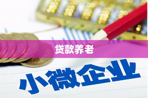 长武贷款养老