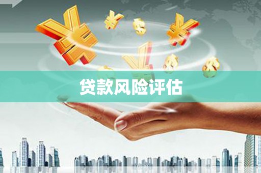 长武贷款风险评估