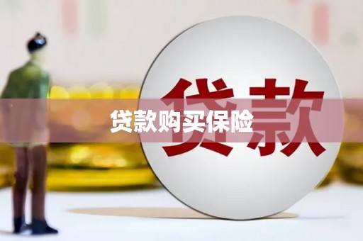 长武贷款购买保险