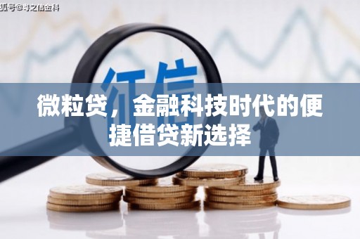 长武微粒贷，金融科技时代的便捷借贷新选择